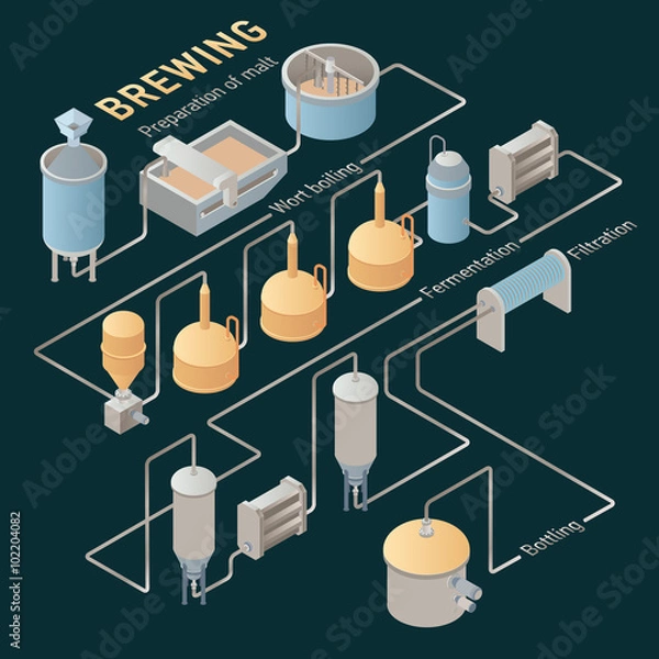 Obraz Isometric beer brewing process. Vector infographic