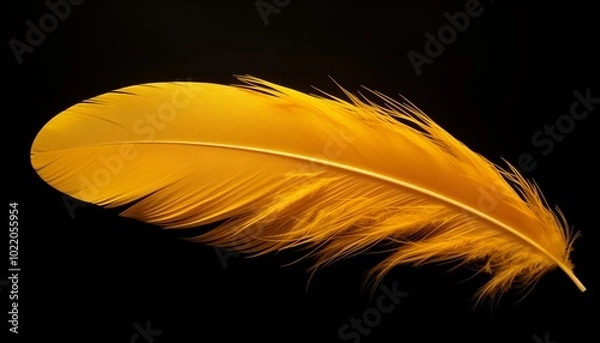 Obraz yellow feather