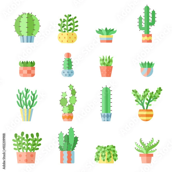 Obraz Succulents and cacti flat multicolored vector icons set. Modern minimalistic design.
