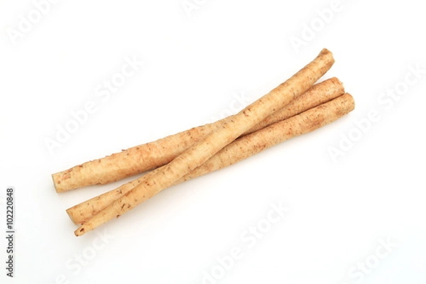 Fototapeta 洗いゴボウ