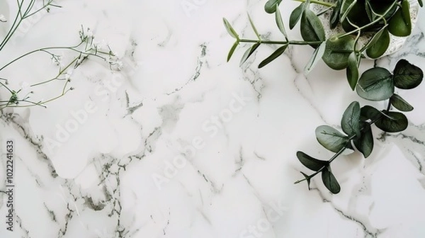 Fototapeta Design on Marble Background - a stylish and elegant visual. The design stands out beautifully against the luxurious marble backdrop