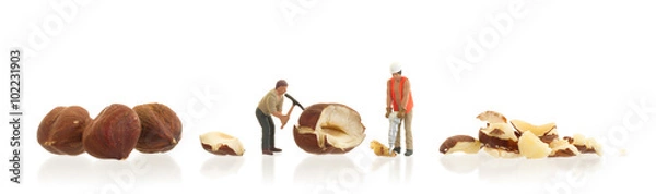 Fototapeta Miniature worker working with hazelnuts