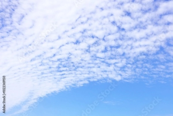 Fototapeta 秋の空に広がるうろこ雲