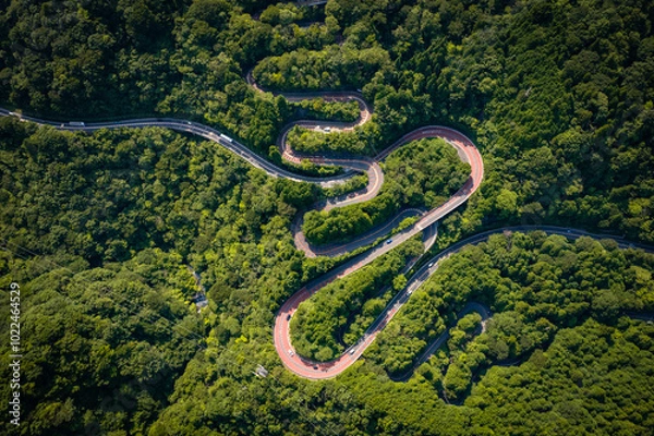 Obraz Aerial view of a winding mountain road in Fuji-Hakone Izu National Park, Japan