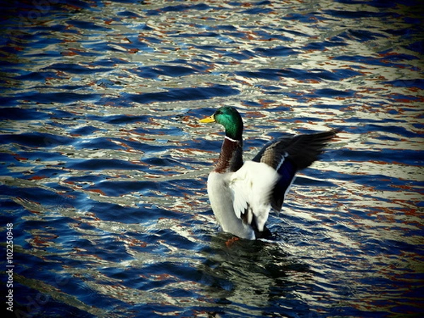 Obraz OLYMPUS DIGITAL CAMERA