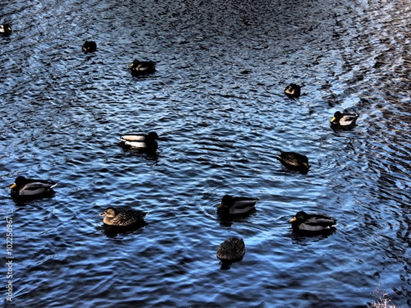 Obraz OLYMPUS DIGITAL CAMERA