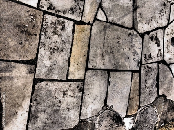 Obraz OLYMPUS DIGITAL CAMERA