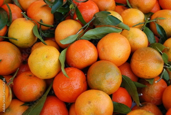 Obraz Clémentines feuilles