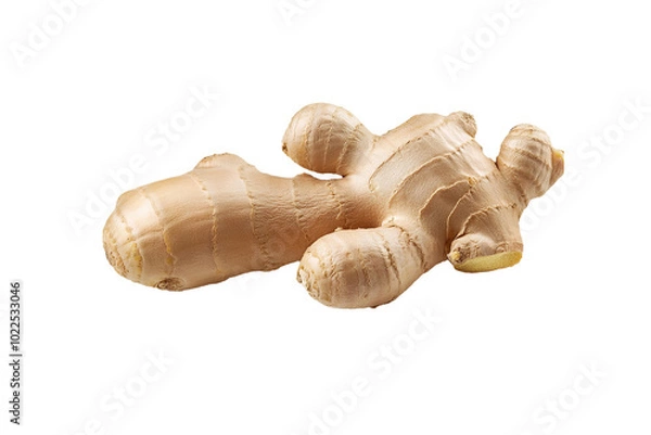Obraz Fresh gingers rhizome with sliced are isolated on a transparent background Generative AI