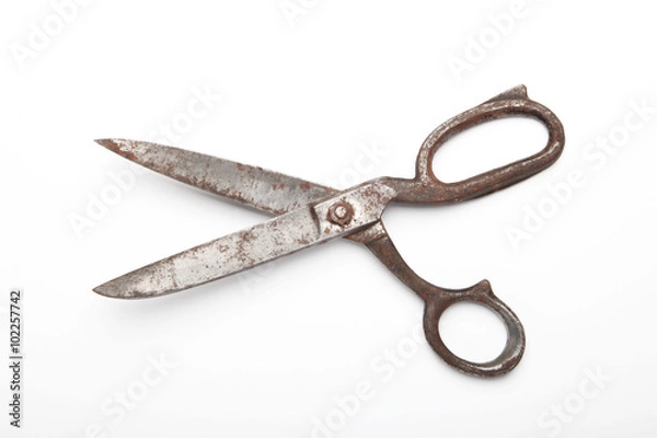 Obraz old scissors