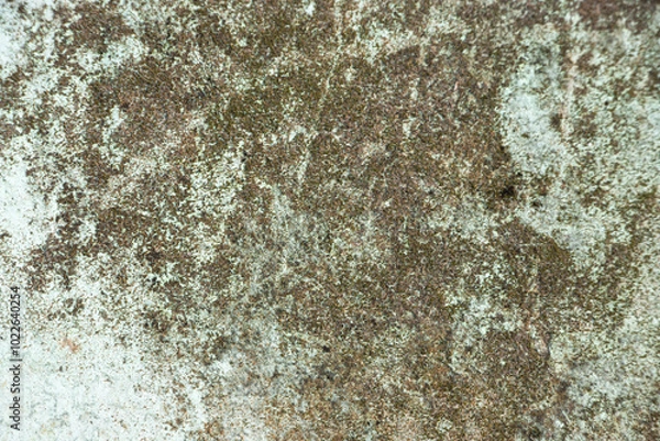 Obraz Grunge Texture with Distressed Surface and Rough Patterns – Perfect for Backgrounds and Artistic Design