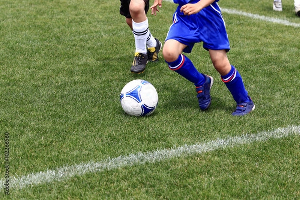 Fototapeta サッカー　フットボール