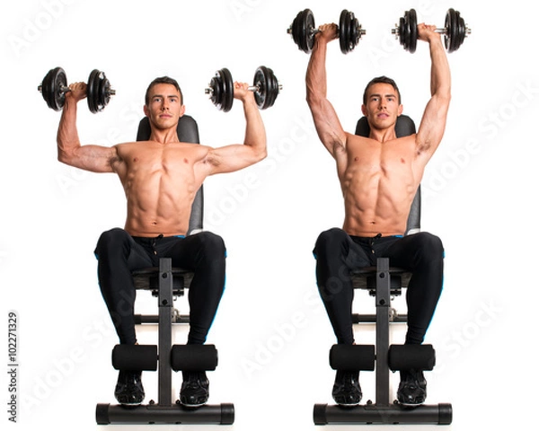 Obraz Seated Shoulder Press