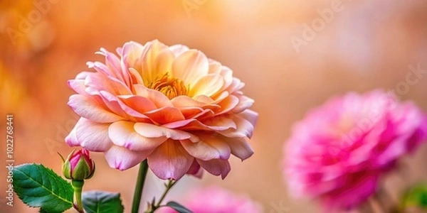 Obraz Soft Light Beige Background for Minimalist Design, Textures, or Elegant Presentations and More