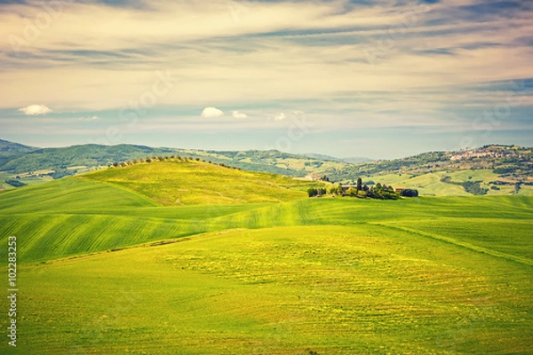 Obraz Beautiful tuscany landscape at spring , Italy