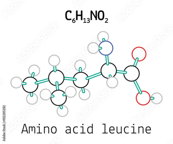 Fototapeta C6H13NO2 amino acid Leucine molecule