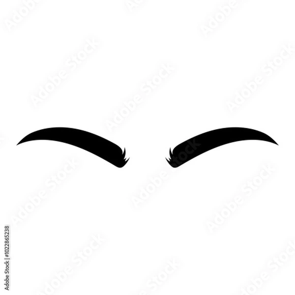 Fototapeta Brows icon vector. Eyebrow illustration sign. Forehead symbol or logo.