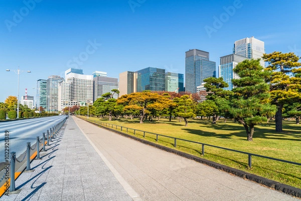 Fototapeta 秋の東京都市風景　皇居外苑から見る丸の内のオフィスビル群【東京都・千代田区】
