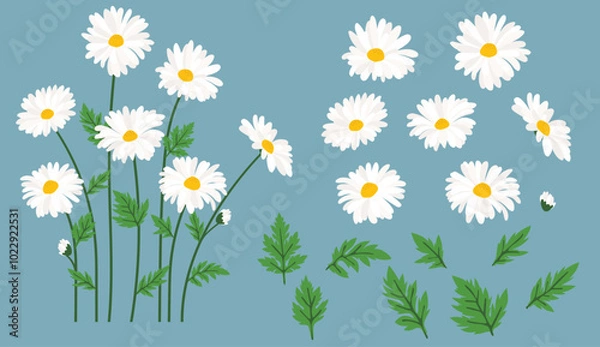 Obraz Daisy flower background.Eps 10 vector.