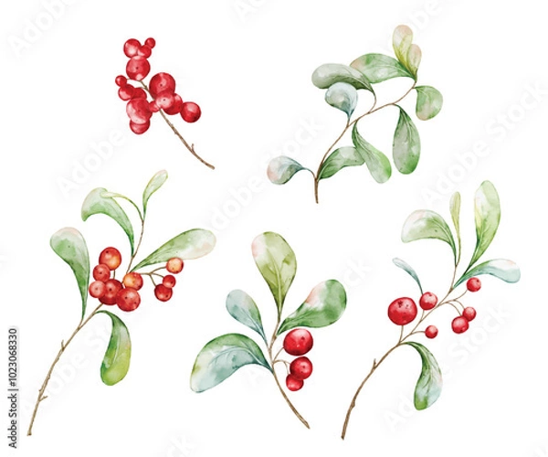 Fototapeta Christmas watercolor set of bouquet arrangings with berries and leaves