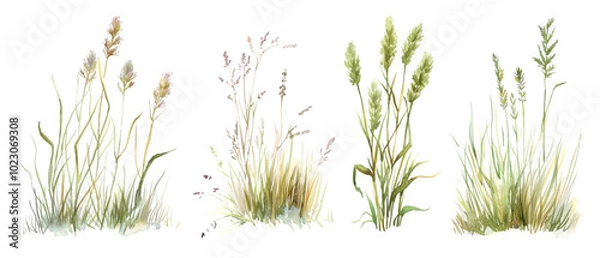 Obraz watercolor grass png transparent background