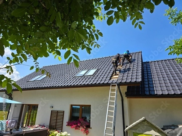 Obraz panels on roof
