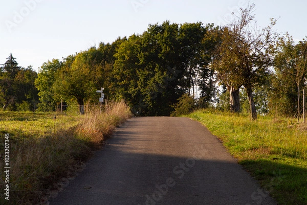 Fototapeta Empty Rural Pathway Surrounded by Green Fields