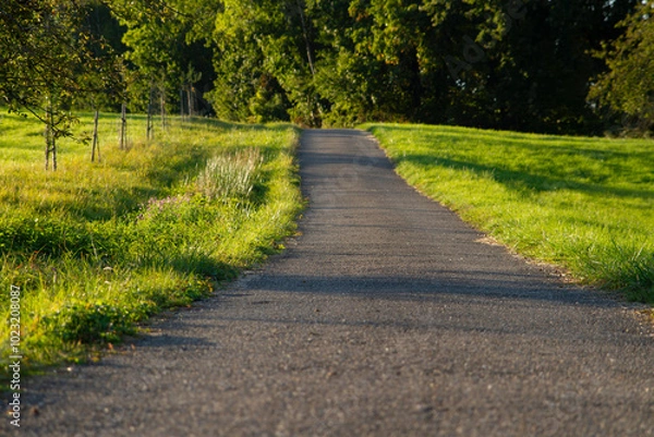 Fototapeta Empty Rural Pathway Surrounded by Green Fields