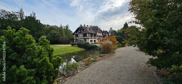 Obraz Beautifull landscape