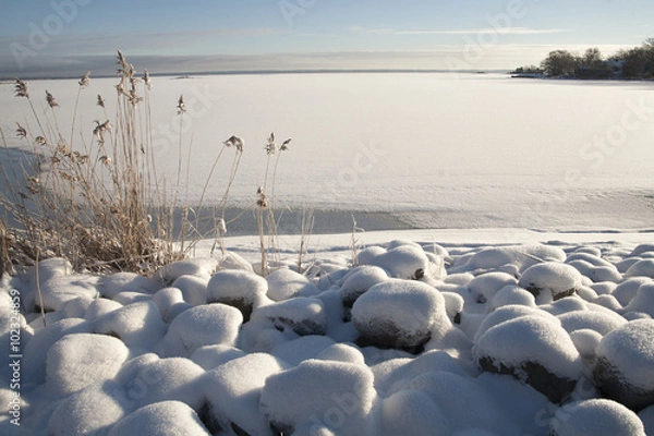 Obraz Kalmarsund,vik med utsikt mot Öland snöbelagd  stenar och vass i strandkanten