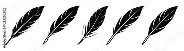 Fototapeta Black fluffy feather. Hand drawing vintage art realistic quill feathers for pen detailed isolated vector elegant silhouette sketch bird plume set
