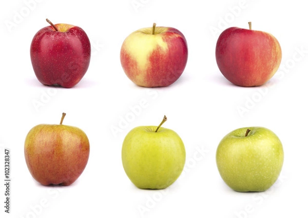 Fototapeta a set of six varieties of apples isolated on white  background