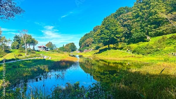 Obraz 山と池と青空　新潟県　湯沢高原スキー場