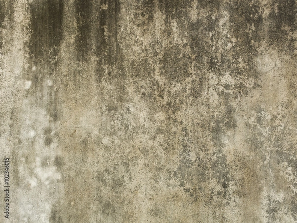 Obraz Textured concrete wall