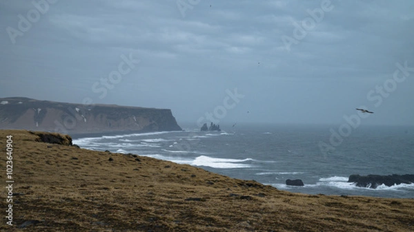 Obraz Dyrholaey - Reynisfjall