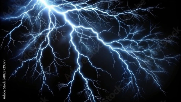 Fototapeta Long exposure image of lightning striking a tree branch against a black background