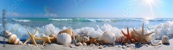 Fototapeta A panoramic view of the sandy beach with seashells and starfish, set against an azure ocean backdrop