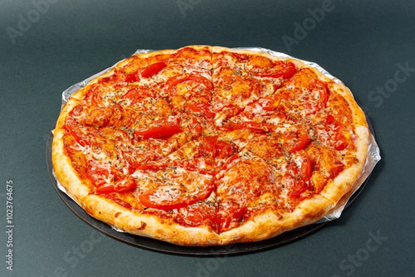 Obraz pizza with tomato sauce