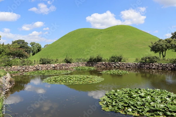 Fototapeta Lush green water lilies growing in a calm pond near a grassy mound of the king's tombs on a sunny day with blue sky and white clouds