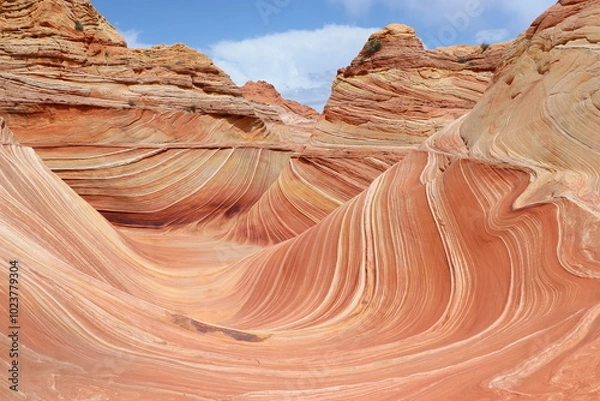 Fototapeta The wave is a sandstone rock formation located in arizona, on the slopes of the coyote buttes