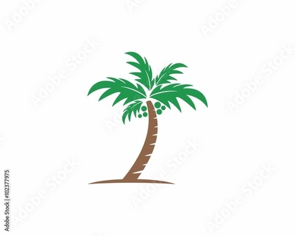 Fototapeta Coconut/Palm Tree Logo