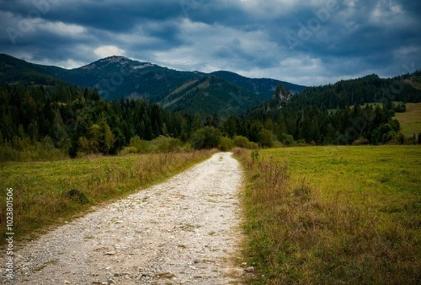 Fototapeta bright path through the landscape to the rocks