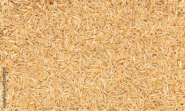 Fototapeta Macro photography of raw brown basmati rice, cereal; grain, healthy food, blank; banner; empty; template