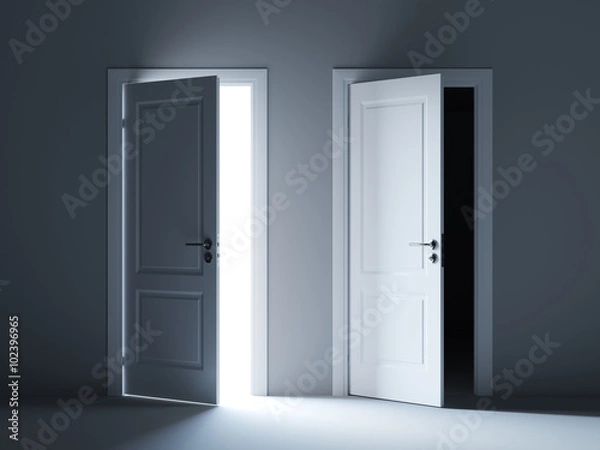 Obraz Opened light and dark way doors