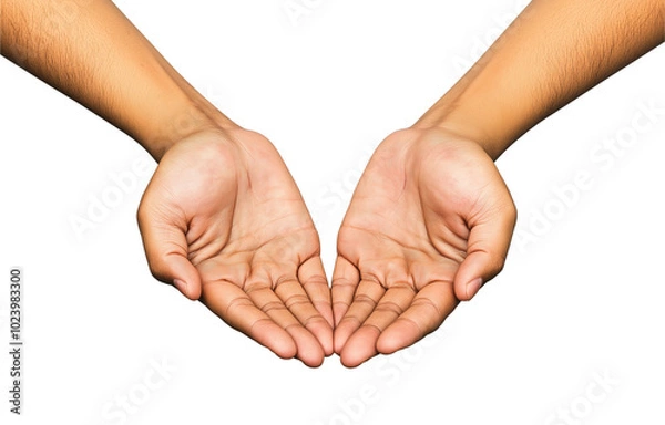 Fototapeta This image depicts two human hands cupped together, palms facing upward, against a plain white background, symbolizing openness, giving, and receptivity.