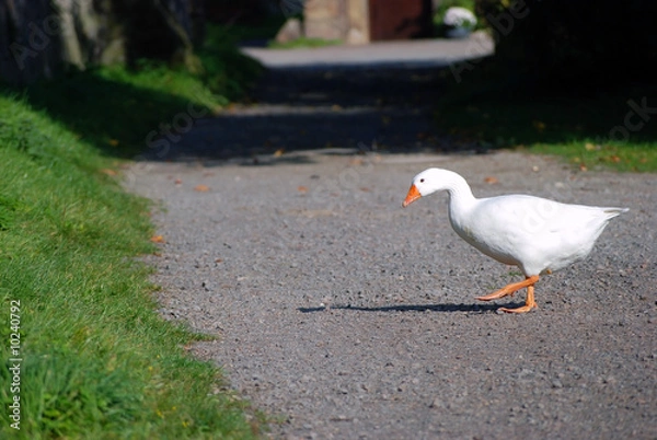 Obraz Over the Street