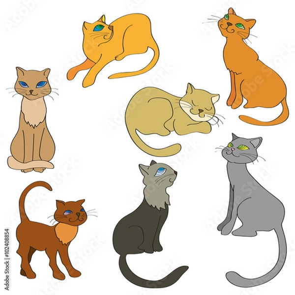Fototapeta set of  cats