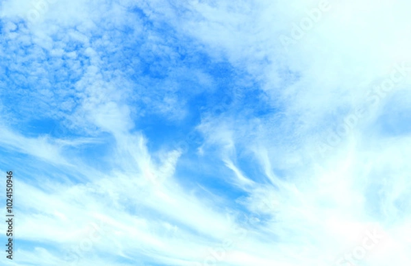 Obraz 澄んだあおい空