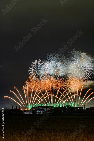 Fototapeta 音楽花火