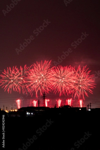 Fototapeta 音楽花火